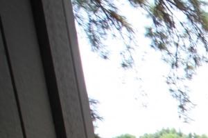 Wildwood Apartments Thomasville GA Patio and View